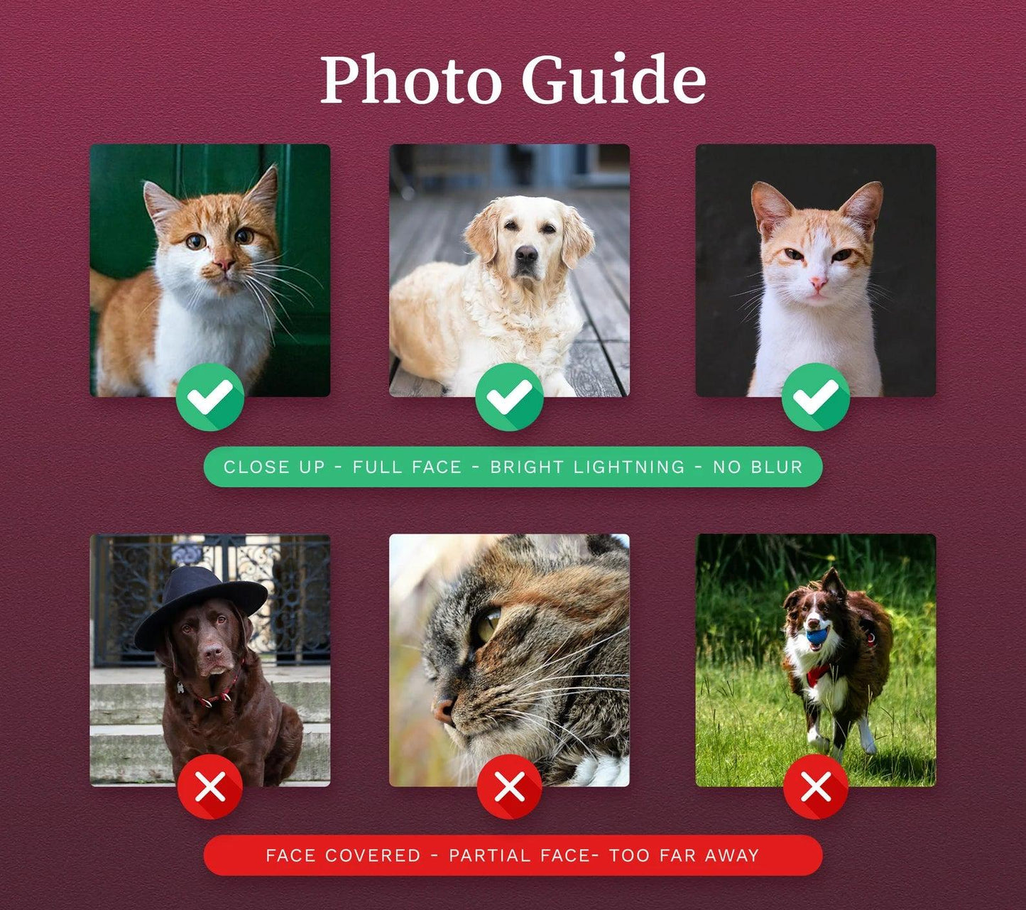 Pet Phone Case with Custom Photo Personalized Dog Cat Name Portrait Illustration Case - covers4phones