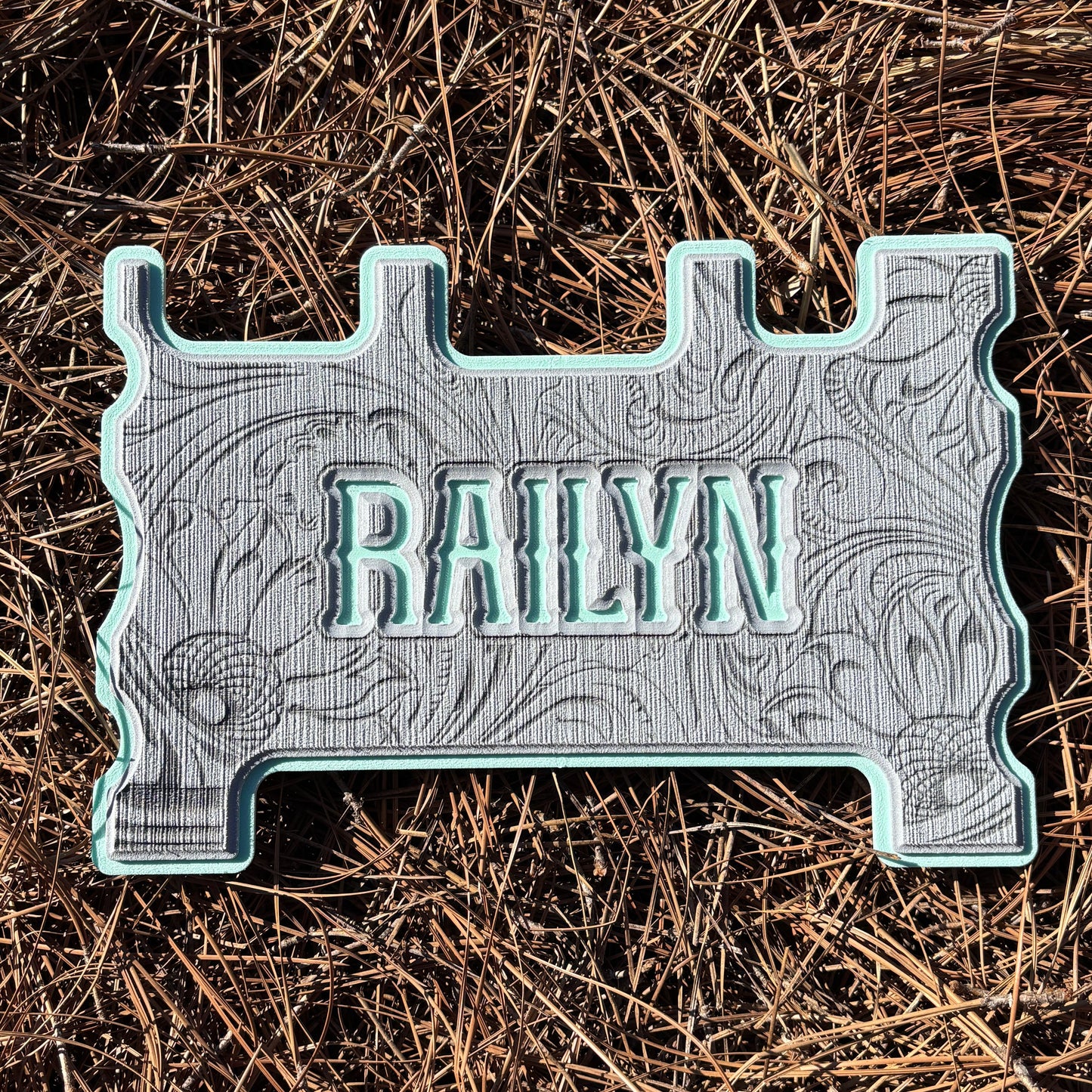 "OUTLAW" - Custom Speaker Shell for Turtlebox or Ecoxgear Defender