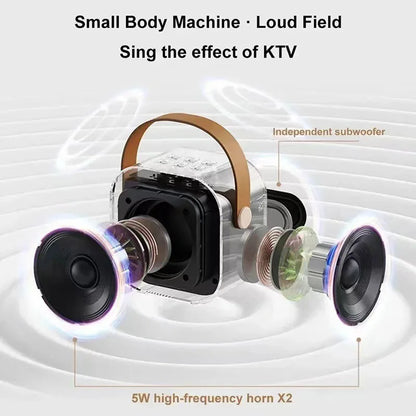 Bluetooth K12 Karaoke Machine Portable 5.3 PA Speaker System with 2 Wireless Microphones Home Family Singing Children's Gifts
