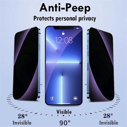 3-1 Pcs Anti Blue Light Privacy Tempered Glass for iPhone 16 15 Pro Max 14 Plus 13 12 Mini 11 Eye Protection Screen Protector