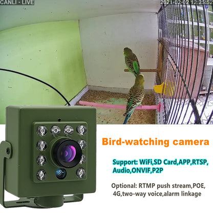 Green Wifi Bird Box Camera Audio 1920P 1080P IR CUT Night Vision RTSP FTP Mini IP IPC Pet Nest Bird Watching 2.8mm lens Camhi