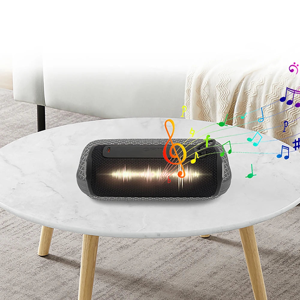 Hard Portable Speaker Bag for JBL GRIP Speaker Sound Permeable Bags GRIP Transparent Box Outdoors Travel Carrying Case