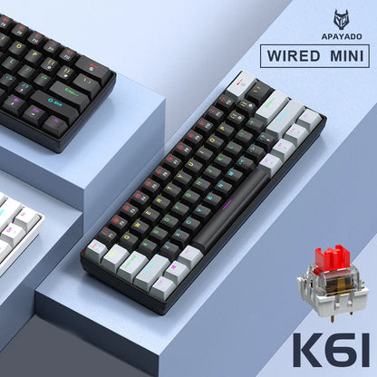 APAYADO K61 60% Wired Mechanical Gaming Keyboard Phantom RGB, 61 Keys, Red/Blue Switch, ergonomic, Portable Mini for PC/Laptop